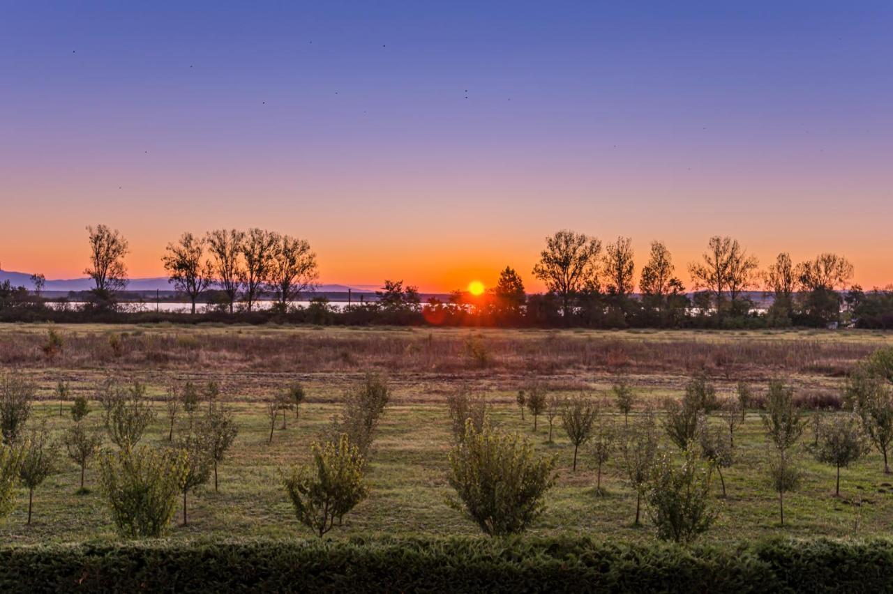 Stejarii Resort Ineu  Dış mekan fotoğraf